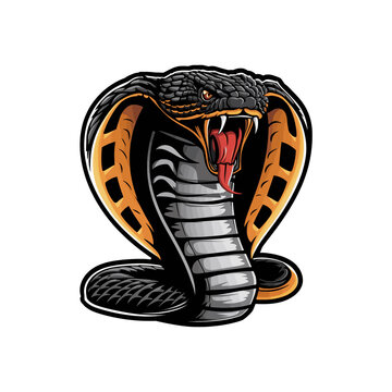 snake illustration logo design on white background