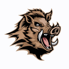 Wild Boar Illustration Design Logo