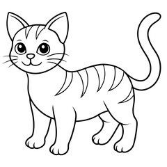 kitten drawing on white background illustration