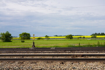 Railway tracks and a switching signal, with a meadow and canola field in the background