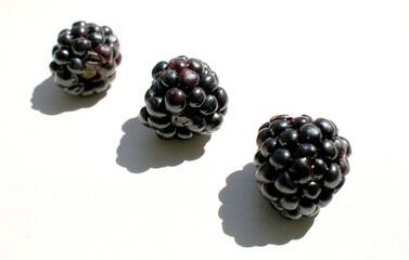 three mulberries in a row