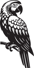 parrot silhouette vector art illustration