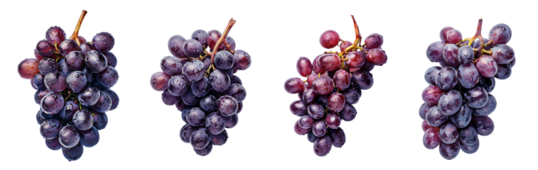 purple grapes on a white background