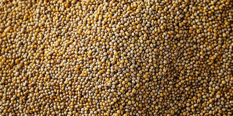 A beautiful illustration of a landscape with clouds and a road leading to a farmhouse captures a sunny summer day.