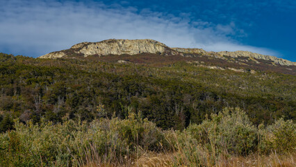 A mountain on a background of blue sky and clouds. There is a forest growing on the slopes. There are bushes in the foreground. Argentina. Patagonia. The Andes. Tierra del Fuego National Park.