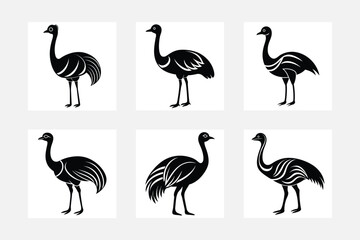 Emu bird vector illustration icons.