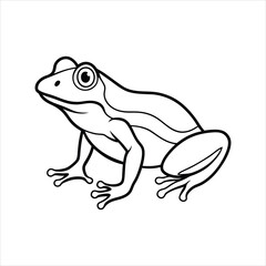 frog vector illustration
