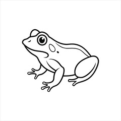 frog vector illustration