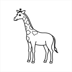 giraffe vector illustration