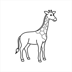 giraffe vector illustration