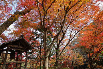 日本の秋　紅葉と梵鐘