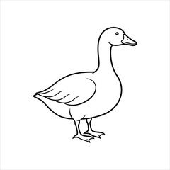 duck vector illustration