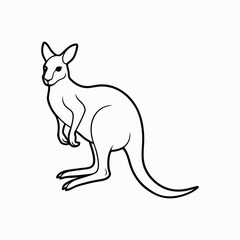 kangaroo illustration