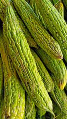  green bitter melon 