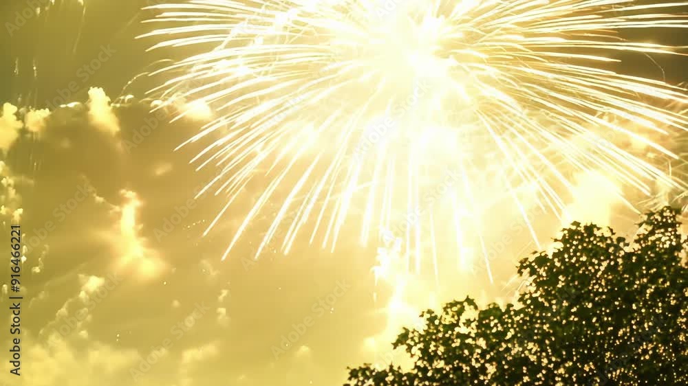 Poster with each rocket soaring into the sky mesmerizing lens flares follow making this fireworks display a