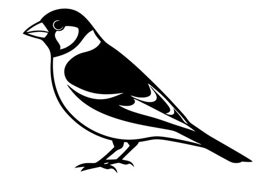 recommend clip art: Goldfinch Bird Silhouette Wildlife Vector Icon Clipart