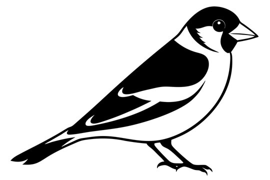 recommend clip art: Goldfinch Bird Silhouette Wildlife Vector Icon Clipart