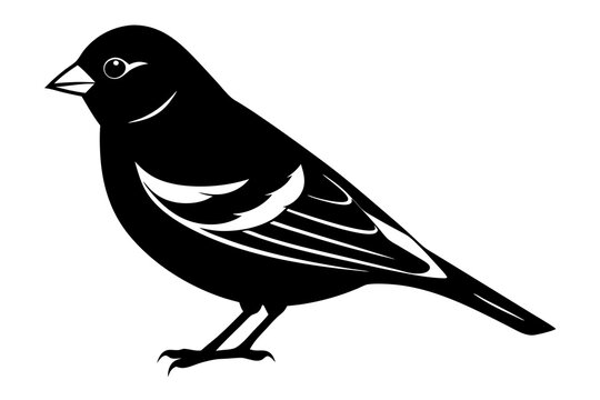 recommend clip art: Goldfinch Bird Silhouette Wildlife Vector Icon Clipart