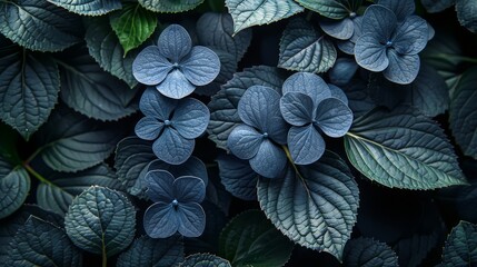 A sophisticated black background wallpaper with a bunch of leaves and flowers, perfect for creating refined copy space