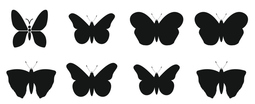 Fancy little butterfly Collections Silhouettes premium vector template.