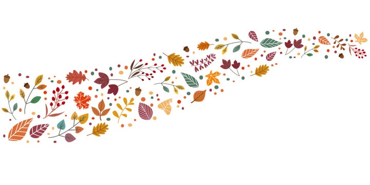Colorful autumn leaves decoration pattern. Autumnal elements design background. Vector illustration.
