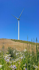 Lone Wind Turbine in Serenity, sustainable energy solutions, green technology, environmental harmony, renewable resources, ecological balance, climate action, nature and innovation, clean energy futur