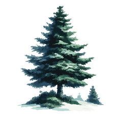 Pine Or Cheer Trees water mark image- vector image of pine tree - silhouette of pine tree watermark
