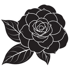 black and white camellia flower
