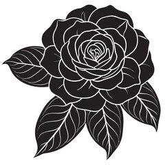 black and white camellia flower