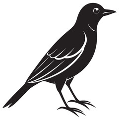 illustration of a bird on a branch