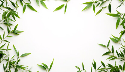 Obraz premium Green bamboo leaves and shoots framing white background in flat lay composition