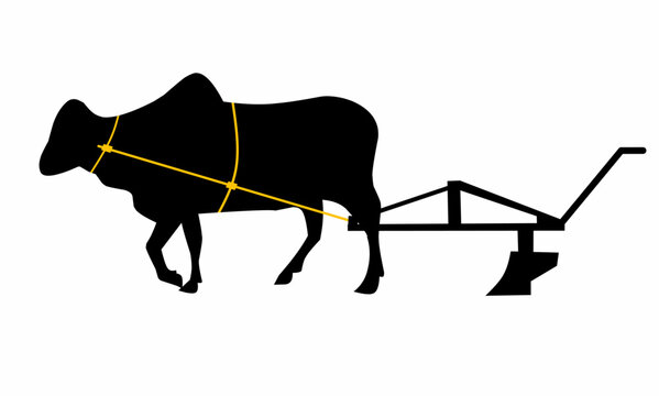 black ox pulling plow, yellow harness clip art preview