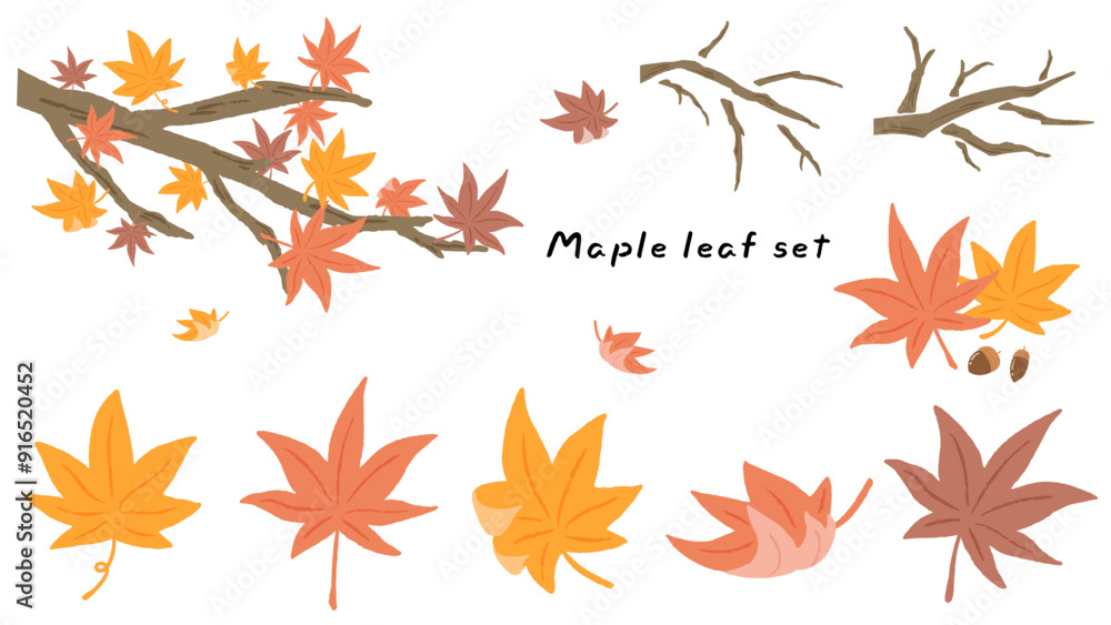 Wall mural cute hand drawn illustration set of maples and maple leaves, maple trees and leaves falling in the w