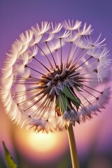 Dandelion seeds gently blowing in the wind, vertical compostion