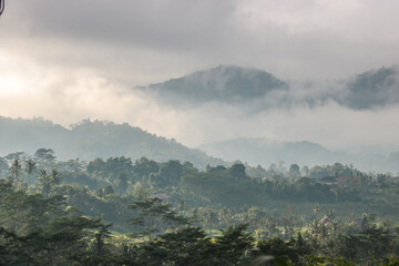 The green side of Bali, rice terraces, jungle and tropical landscape in an original environment. ...