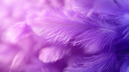 Obraz premium Purple color close up feather background. AI generation.
