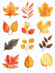 Obraz premium Collection of Watercolor Autumn Leaves
