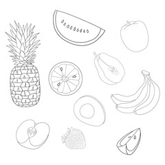 Fruits watermellon apple avocado strawberry realistic outline for coloring on a white background