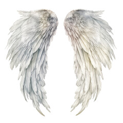 Obraz premium white angel wings watercolor isolated on transparent background cutout