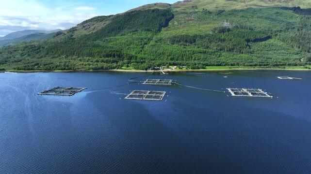 Aquaculture Intensive Fish Farm Aerial View