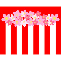 Obraz premium 紅白幕と桜のイラスト