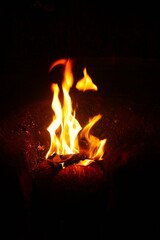 Close up of burning wood logs blazing in flames inside black wrought iron wood burning fire.