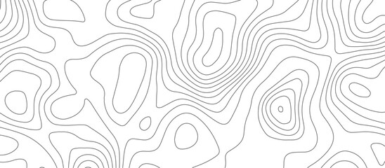 White luxury topographic lines map background .modern technology wave curve line contour map design .seamless geography grid vector illustration .