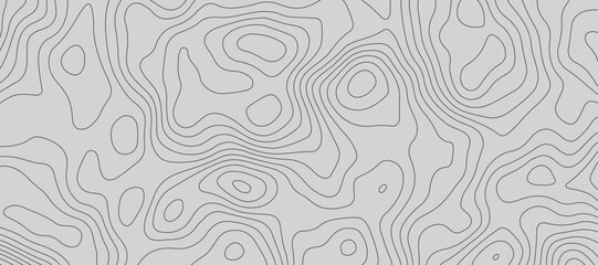 Gray luxury topographic lines map background .modern technology wave curve line contour map design .seamless geography grid vector illustration .