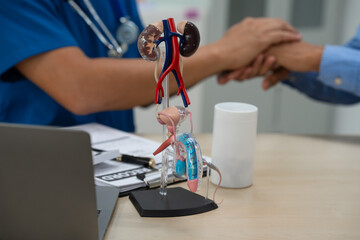 A male doctor sits and works at the table, explaining the urinary system and penile health to anxious patients. Consultations cover sexual matters, sterilization, and other related concerns.
