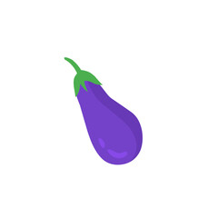 eggplant vector illustration