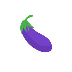 eggplant vector illustration