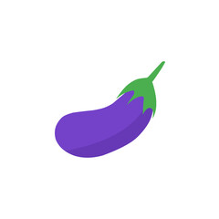 eggplant vector illustration