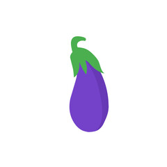 eggplant vector illustration