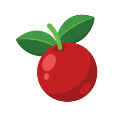  Cranberry Fruit flat vector illustration on white background.